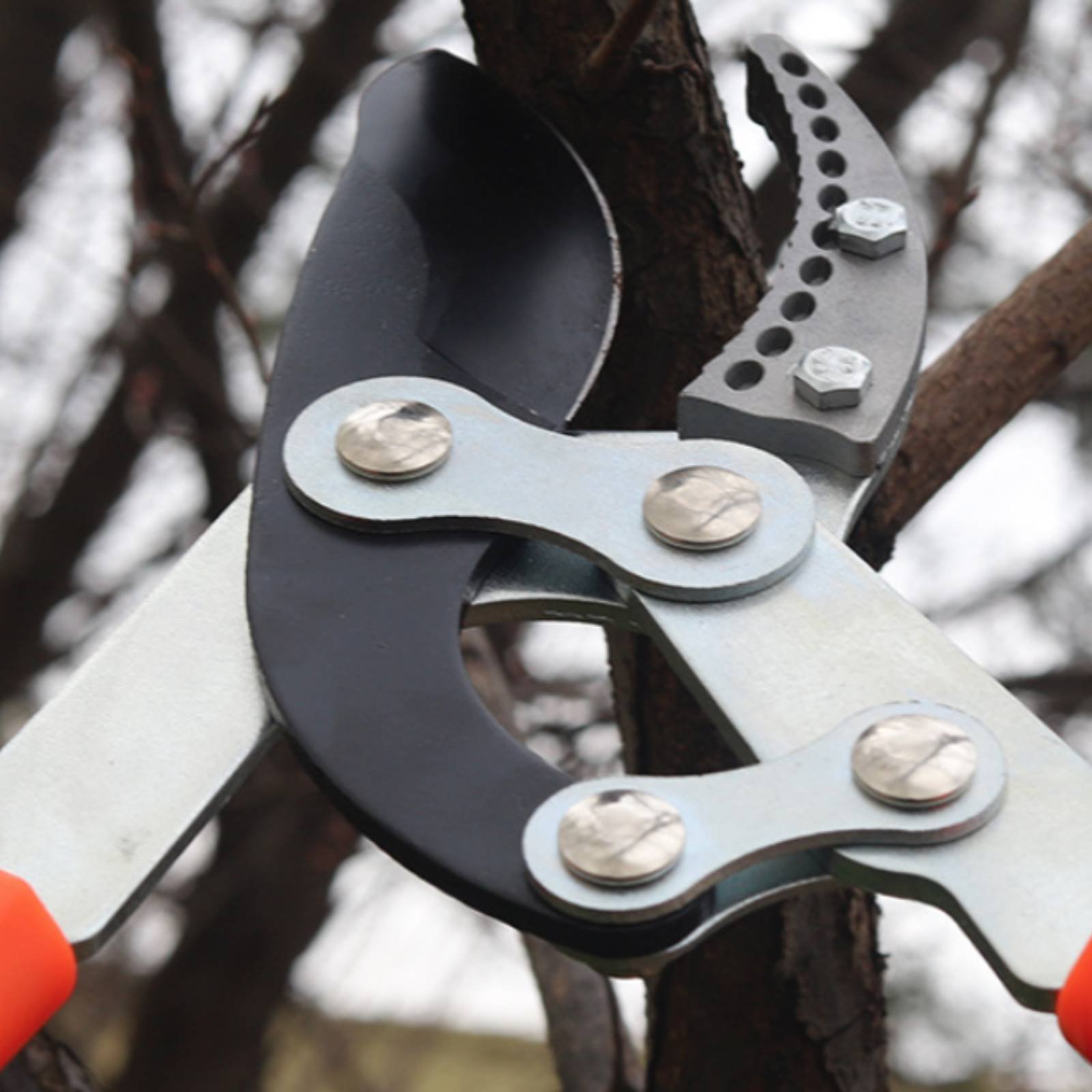 Sécateurs télescopiques à lame - Garden Tools avis et prix