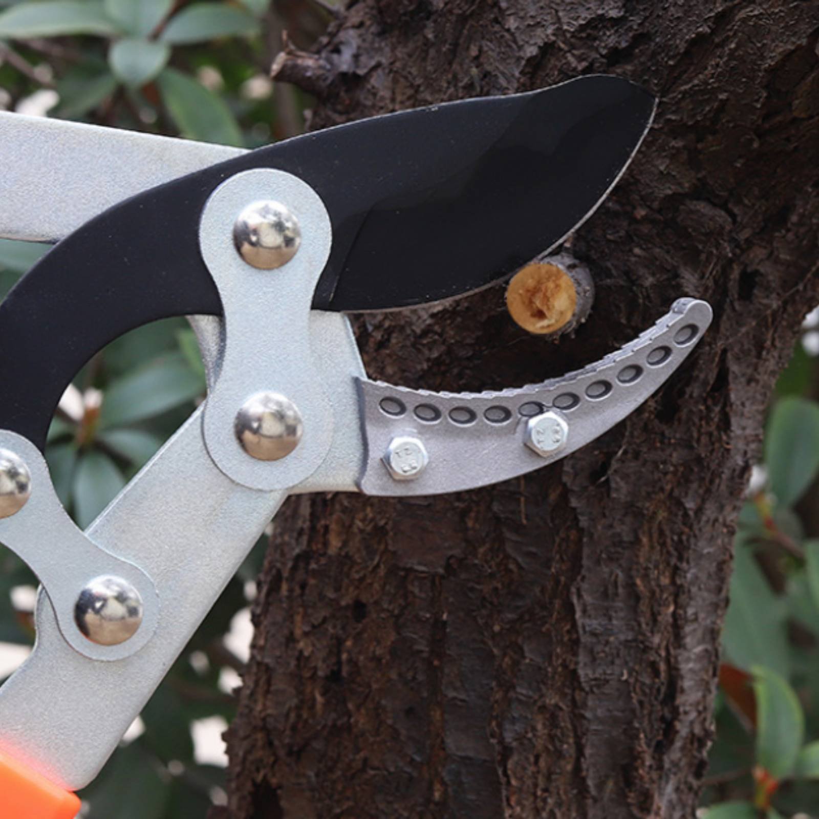 Sécateurs télescopiques à lame - Garden Tools avis et prix