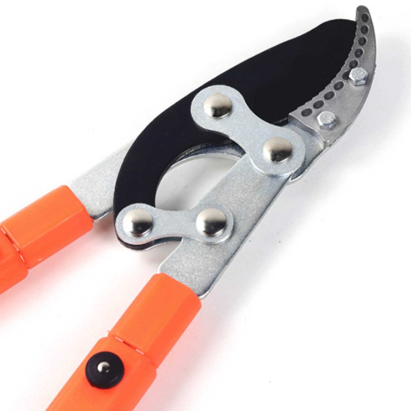 Sécateurs télescopiques à lame - Garden Tools avis et prix
